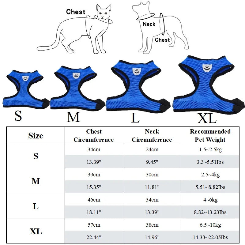 Small Dog Harness - Our furry friends