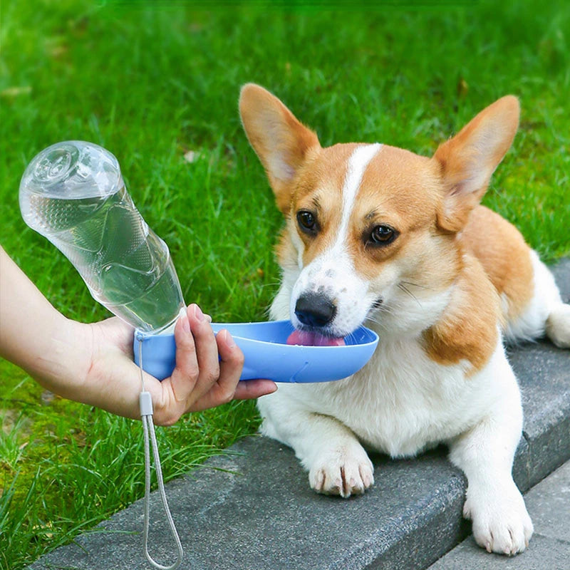 Portable Doggy Water Bottle - Our furry friends