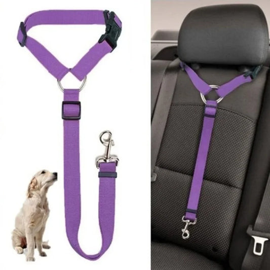 Doggy Seat Belt - Our furry friends