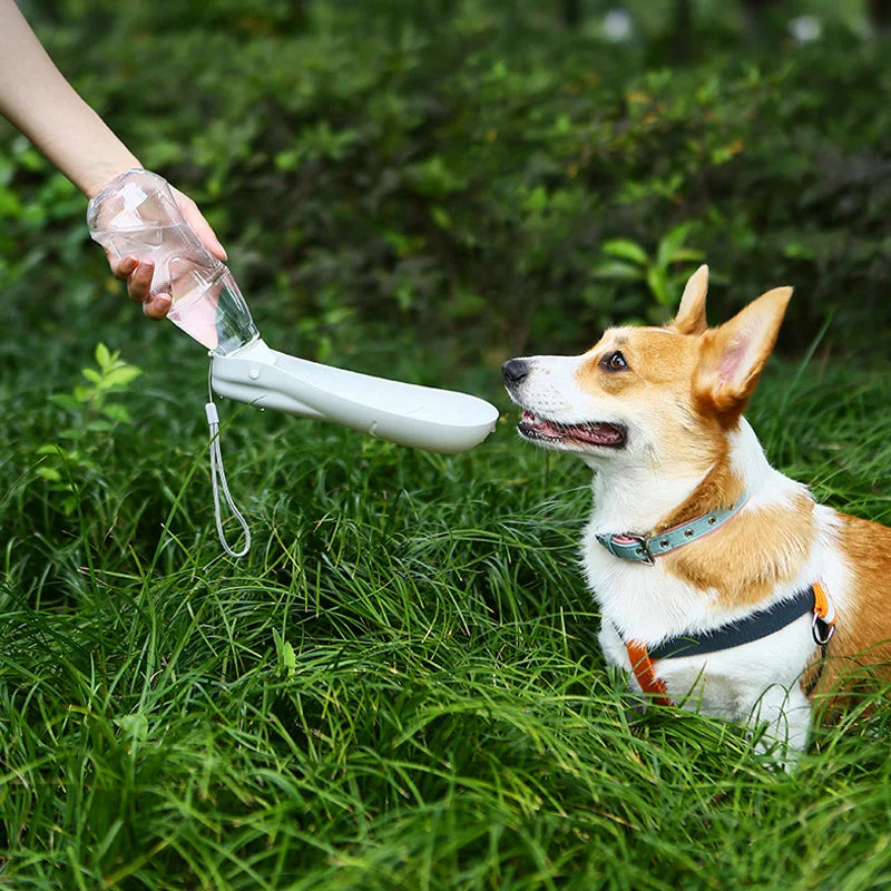 Portable Doggy Water Bottle - Our furry friends