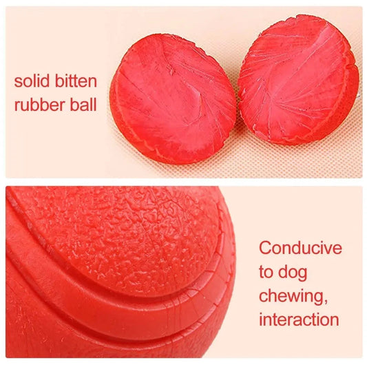 Rubber Bouncy Dog Ball - Our furry friends