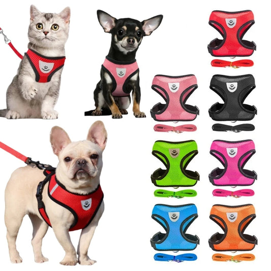 Small Dog Harness - Our furry friends