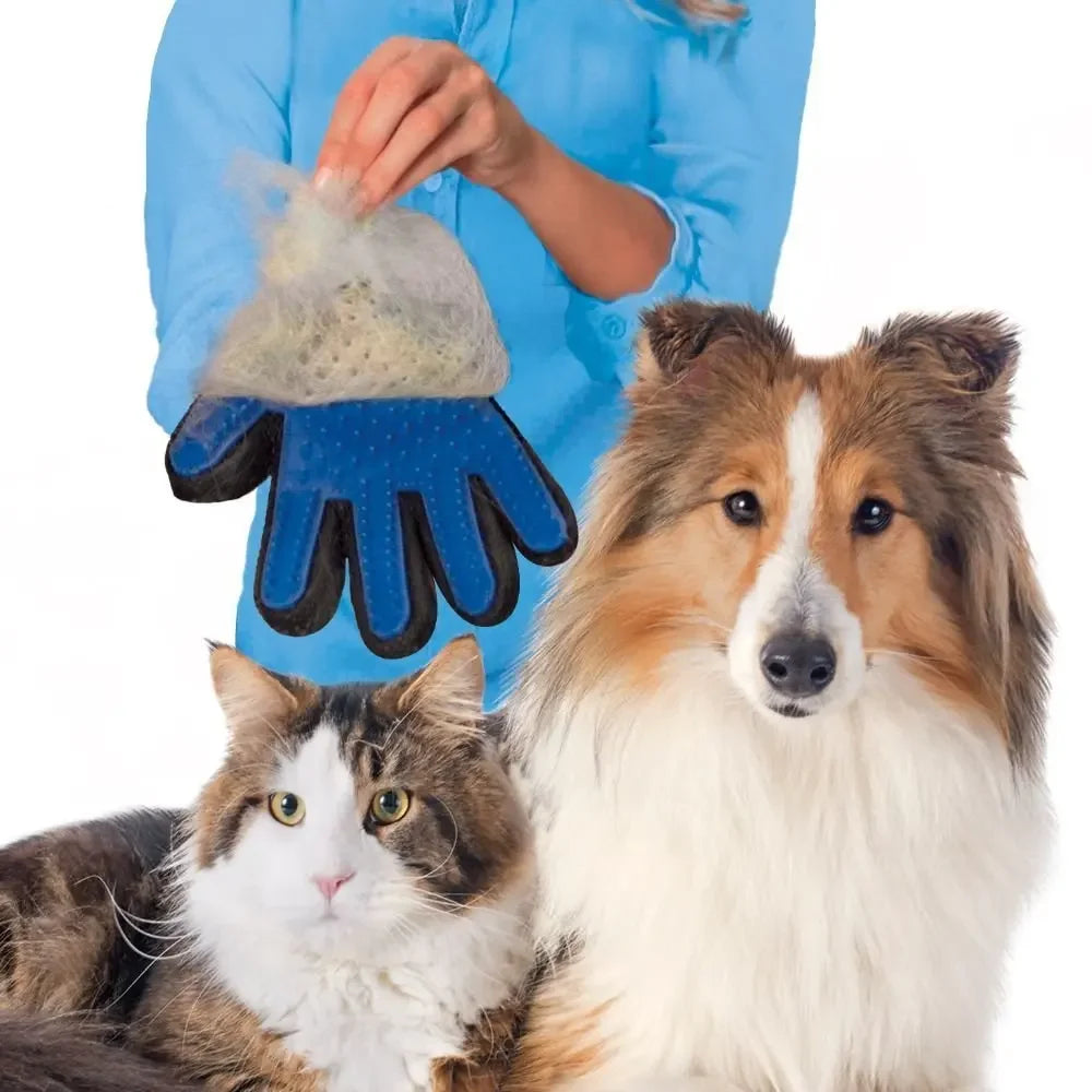 Hair Removal Glove - Our furry friends